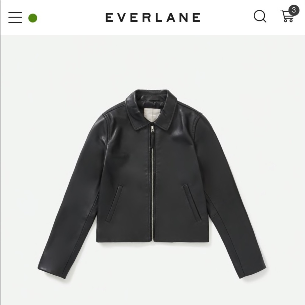 Everlane Black Leather Jacket